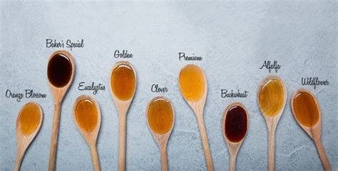 Different Types of Honey | Types of honey, Honey benefits, Raw honey