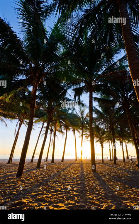 Looking through palm trees onto Cua Dai beach during sunrise. Cua Dai ...