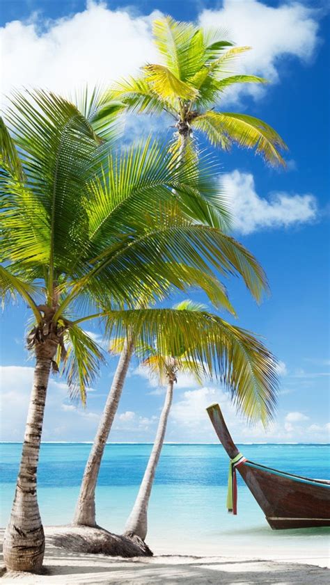 Palm trees, boat, tropical sea, beach, clouds iPhone Wallpaper | 640x1136 iPhone 5 (5S) (5C ...