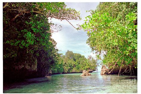 Majuro Island 2 Photograph by Diane Falk - Fine Art America