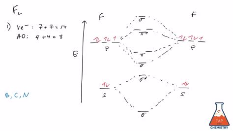 [DIAGRAM] Telophase 2 Diagram - MYDIAGRAM.ONLINE