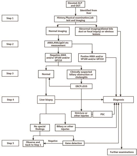 Guidelines for the Management of Cholestatic Liver Diseases (2021)