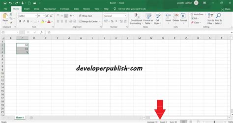 Status Bar in Microsoft Excel - Developer Publish