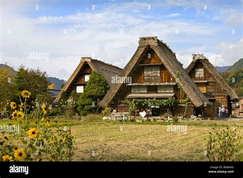 Traditional Japanese houses built in the style called "Gassho-zukuri" in the village of ...