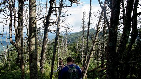 WNC hiking trails: The best spots to hike this winter