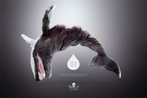 Sea Shepherd Print Advert By Heads Propaganda: Twisted Whale | Ads of the World™