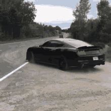 Mustang GIF - Mustang - Discover & Share GIFs