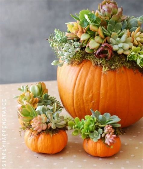 30 Beautiful Thanksgiving Pumpkin Decorations For Your Home - DigsDigs