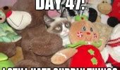 grumpy-cat-meme-day-47-hate-duddly-things