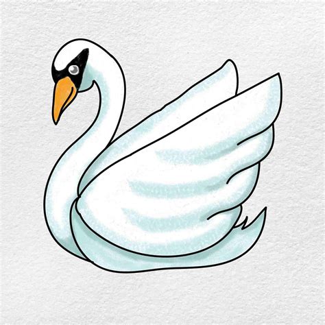 How to Draw a Swan - HelloArtsy