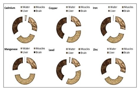 Concentrations of trace elements in water and fish parts from studied... | Download Scientific ...