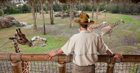 How to Become a Zookeeper | Salary & Courses