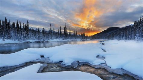 Snowy Sunrise – Bing Wallpaper Download