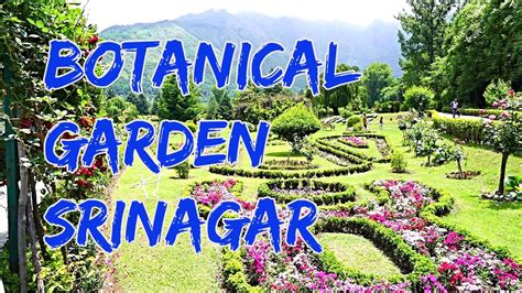 Jawaharlal Nehru Botanical Garden Sringar, Kashmir | Safar Stories - YouTube