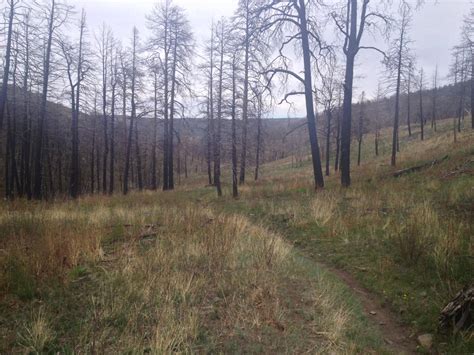 Sugarite Canyon State Park Mountain Bike Trail in Raton, New Mexico ...