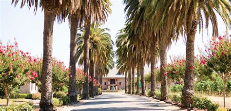 Palm Event Center In the Vineyard - A Luxurious Winery Estate Perfect for Any Event