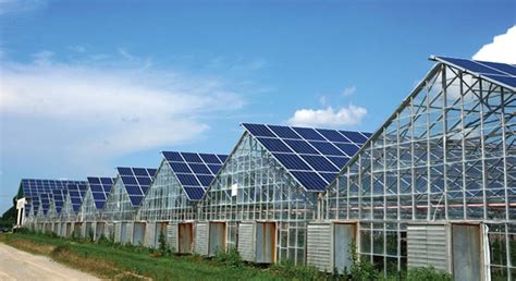 Guidelines for Constructing Your Commercial Greenhouse – Greenhouse Gardening Tips