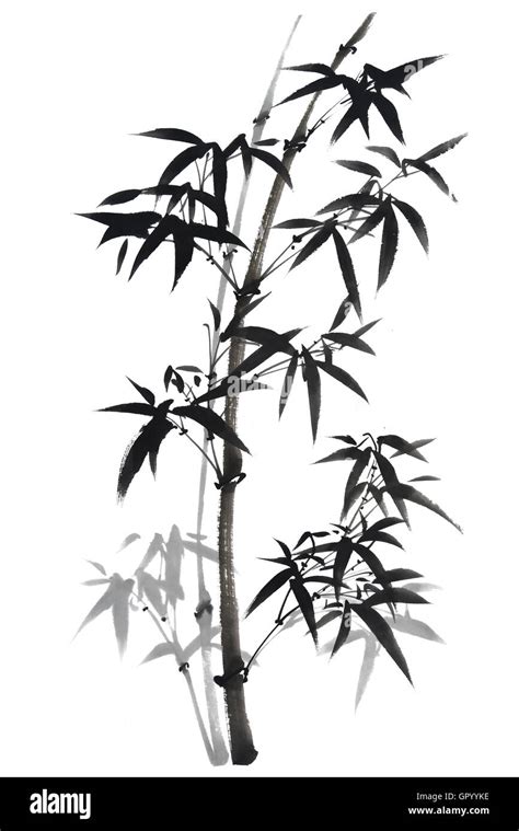 Traditional chinese painting bamboo Stock Photo - Alamy