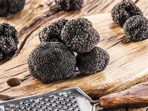 10 Different Types of Truffles (Plus Fun Facts) – PopOptiq