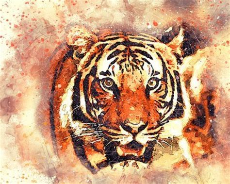 Watercolor Tiger Portrait Instant Printable Download High - Etsy