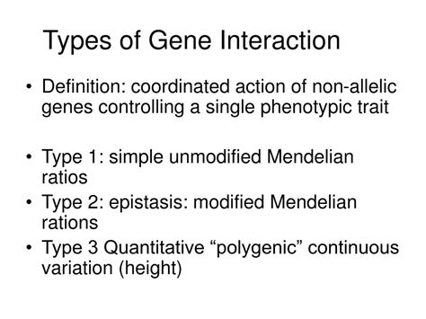 PPT - Gene Interaction PowerPoint Presentation, free download - ID:4060042