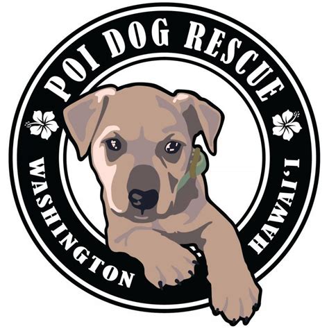 Poi Dog Rescue Reviews and Ratings | Bellingham, WA | Donate, Volunteer ...