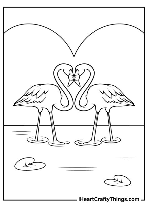 Coloring Pages Flamingo