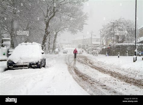 Sheffield, UK. 21st Jan, 2015. Heavy snow continues to fall in Stock Photo, Royalty Free Image ...