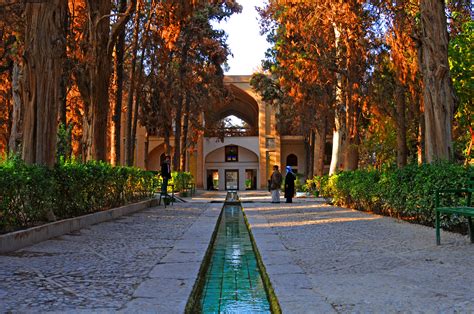 Fin Garden - Friendlyiran