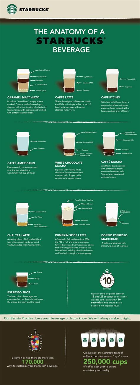 Infographic: the Anatomy of a Starbucks Beverage - Starbucks Stories ...