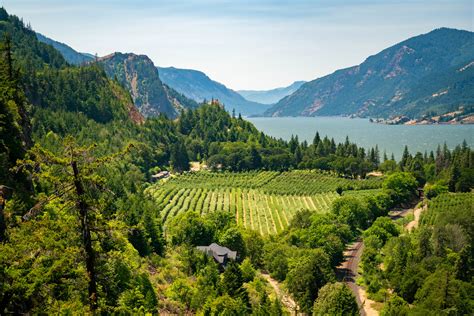 18 CHARMING Hood River Wineries Guaranteed to Impress