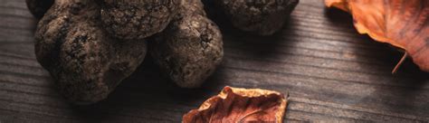 About Truffles – NATGA