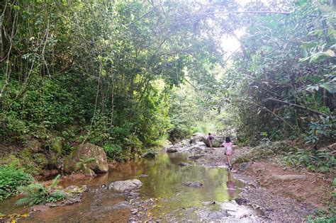 Salto Curet - An Off-The-Beaten-Path Waterfall Near Maricao