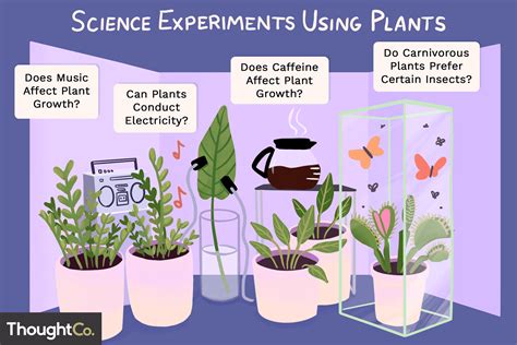 23 Ideas for Science Experiments Using Plants