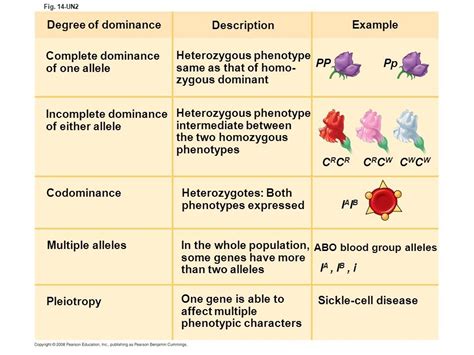 Types of dominance. | Dominant, Genetics, Wholeness