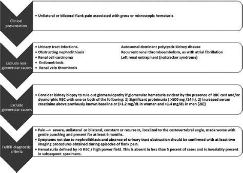 Figure 1 from Loin pain hematuria syndrome | Semantic Scholar