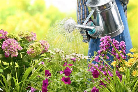 Gardening Secrets - 40 Top Gardening Tips and Tricks