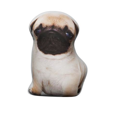 Pillow Pug