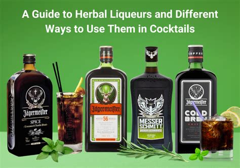 A Guide to Herbal Liqueurs and Different Ways to Use Them in Cocktails