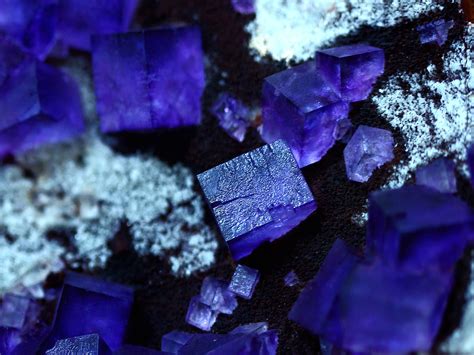 Purple Fluorite Cubes, Mapimi, Durango | Purple Fluorite Cub… | Flickr