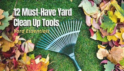 12 Must-Have Yard Clean Up Tools | Yard Essentials - The Backyard Pros