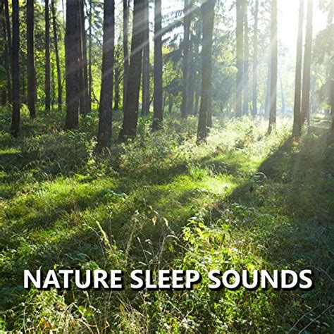 Amazon.com: Nature Sleep Sounds : Sleep Sounds of Nature: Digital Music