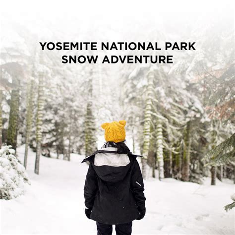 A Winter Wonderland - Yosemite Winter Snow Day Adventure