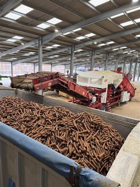 Carrot Harvesting in the UK : r/farming