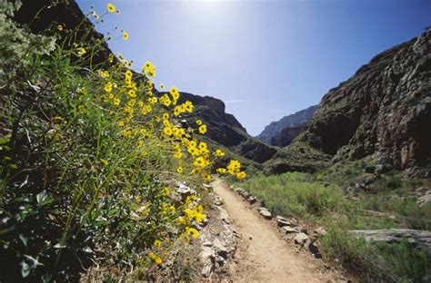 Great Local HIkes Not Too Far From Healdsburg | Healdsburg, CA Patch