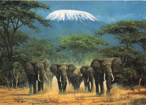 UNESCO-gforpcrossing: Tanzania - Kilimanjaro National Park