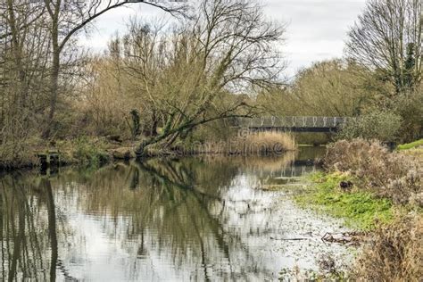 Wensum Park stock photo. Image of bridge, outdoors, light - 151138790