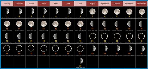 Lunar New Year: Why the solar calendar actually rules our lives - Big Think