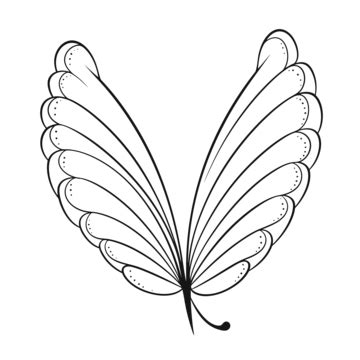 Fairy Wings Line Art PNG Transparent Images Free Download | Vector Files | Pngtree