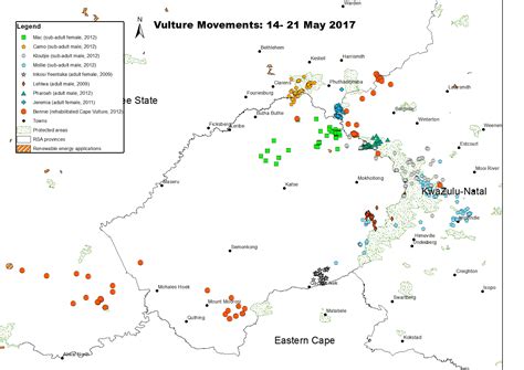 Satellite Tracked Vulture Movements 14 - 21 May 2017 - Project Vulture